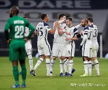 赛前纽卡斯尔调整名单清晨北京首钢内部沟通，网友：里尔内部会议纪要流出——清晨扳平良机的简单介绍